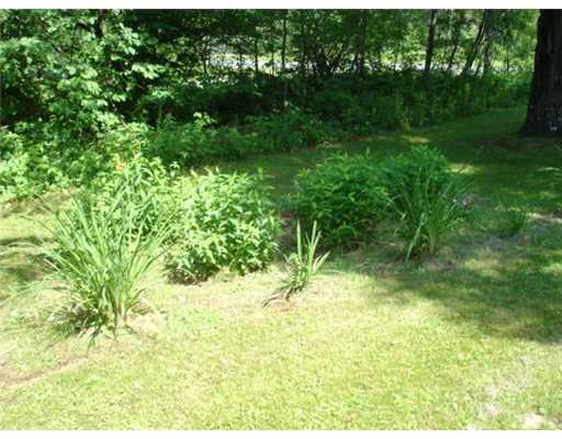 990 Grindstone Road Stacyville, ME 04777 - Photo 9 of 15 Yard/Garden.