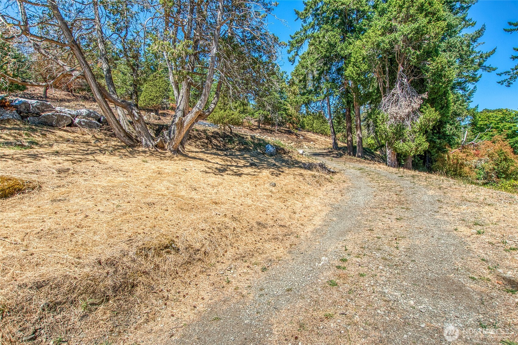 1024 Deer Harbor Road Orcas Island, WA 98245 - Photo 5 of 12
