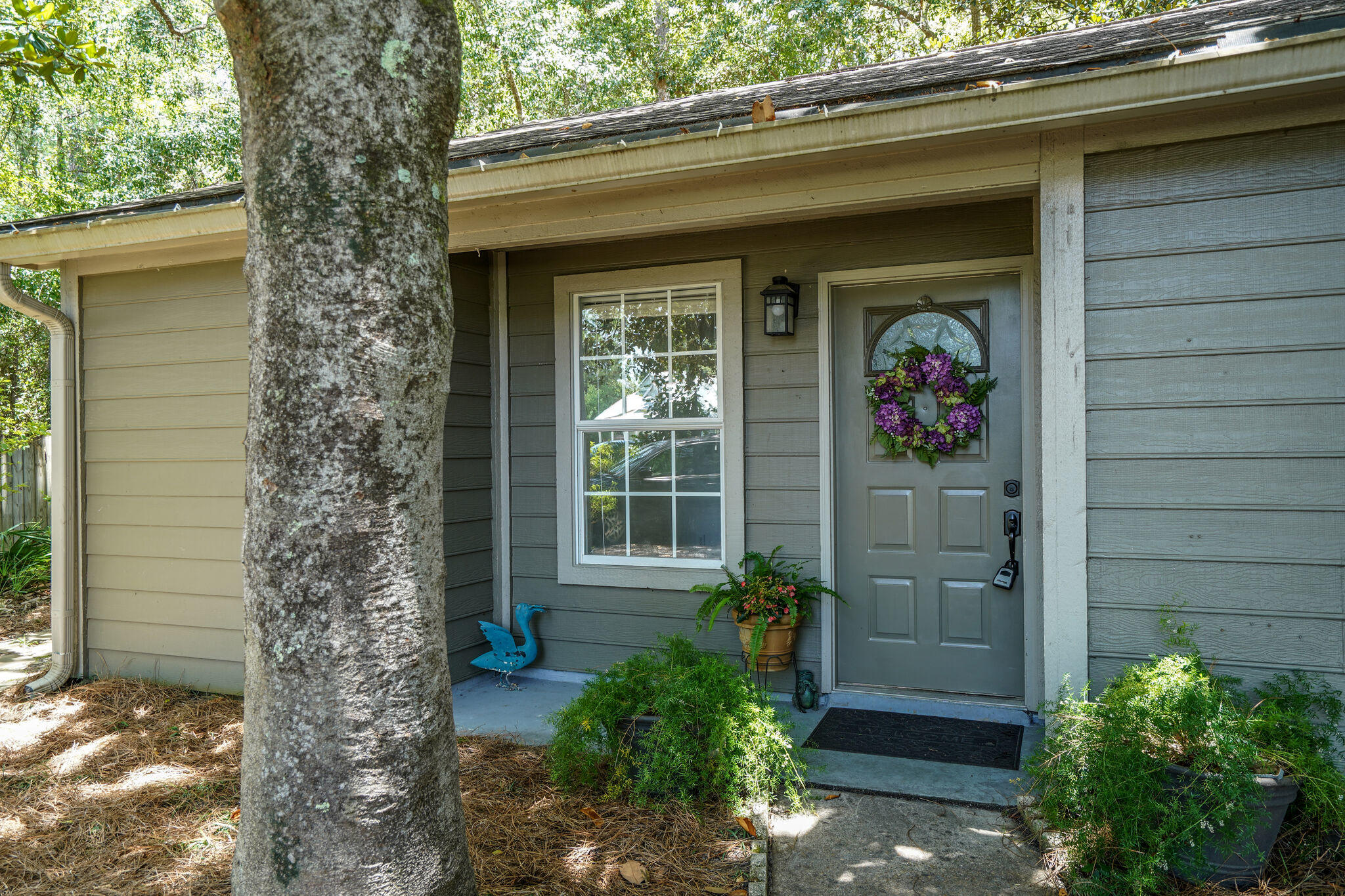 85 Magnolia Creek Road Santa Rosa Beach, FL 32459 - Photo 4 of 32 Gallery Image 4
