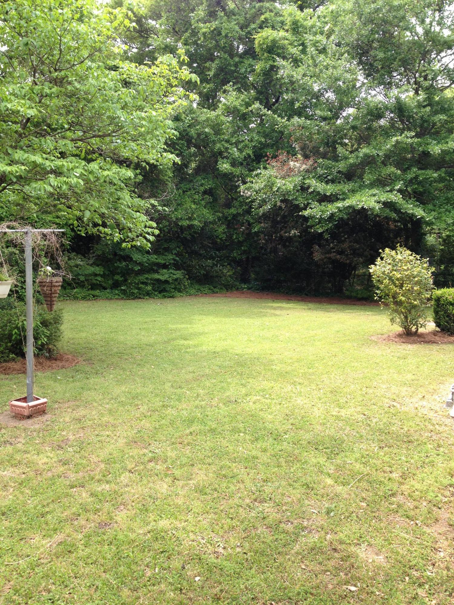 753 Tallwood Road Charleston, SC 29412 - Photo 7 of 12 Back yard