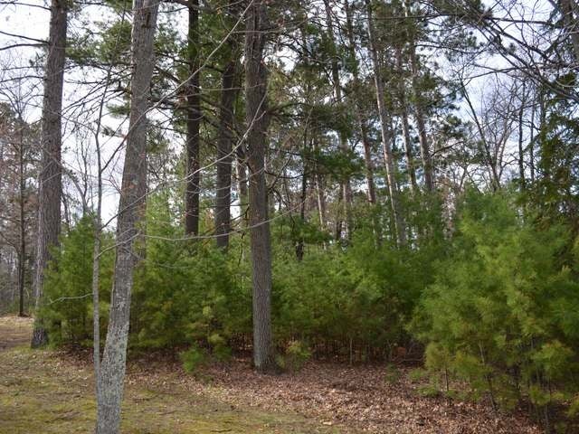 On Selmer Road Tomahawk, WI 54487 - Photo 15 of 17 Gallery Image 15