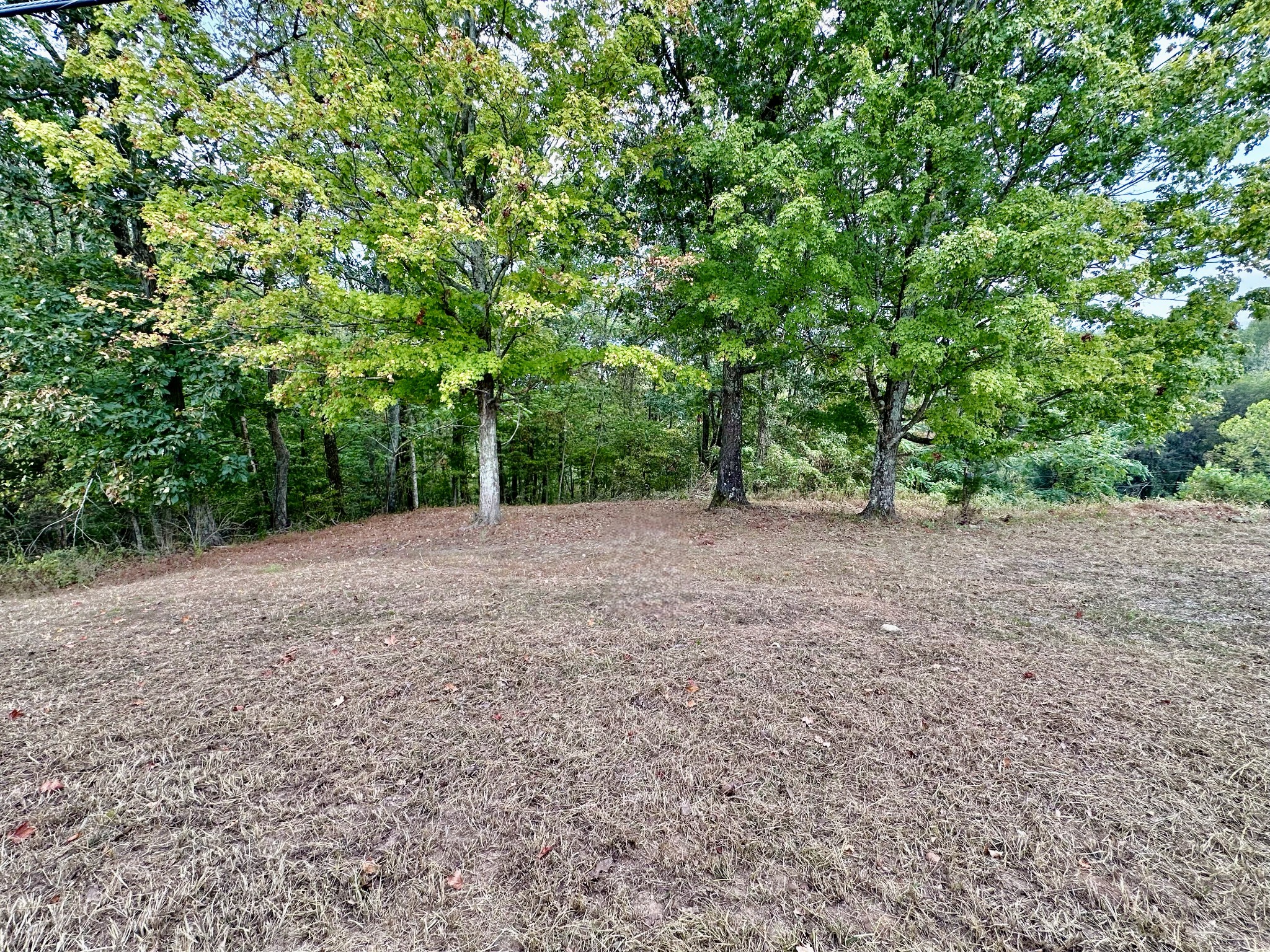 1330 Shell Road Goodlettsville, TN 37072 - Photo 2 of 8 a view of a yard with a tree