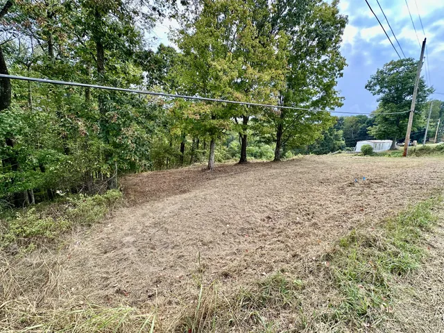 a view of a yard with a tree