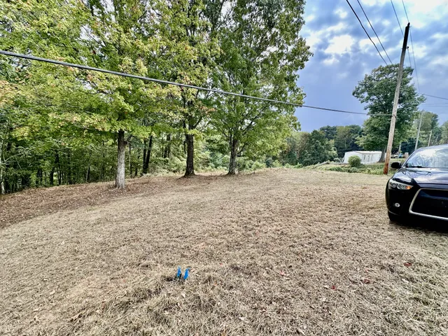 a view of a yard with some trees