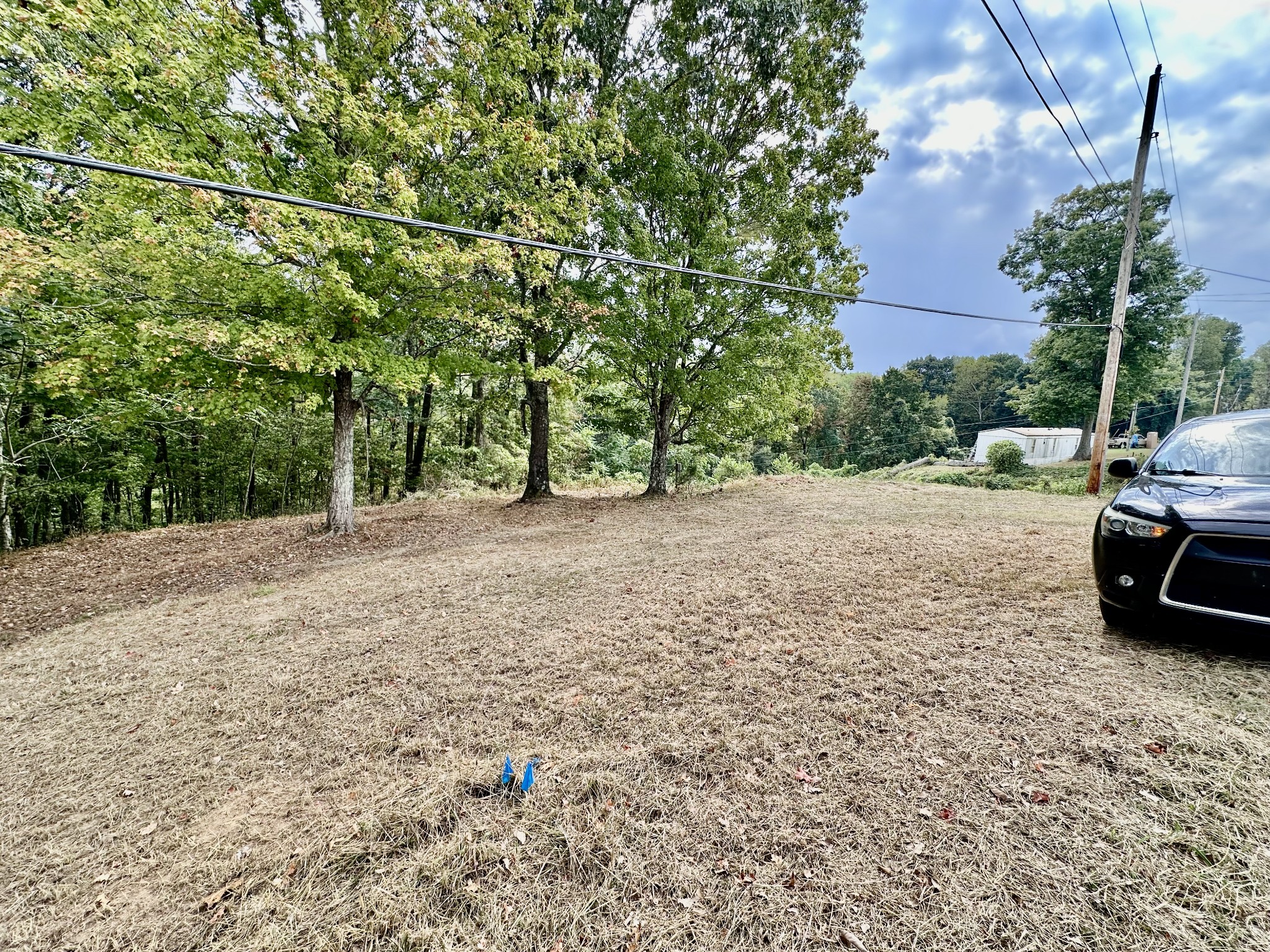 1330 Shell Road Goodlettsville, TN 37072 - Photo 4 of 8 a view of a yard with some trees