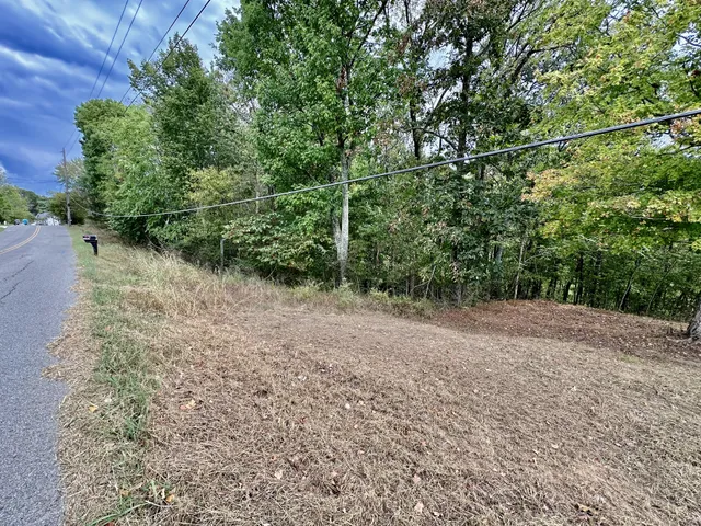 a view of a yard with a plant