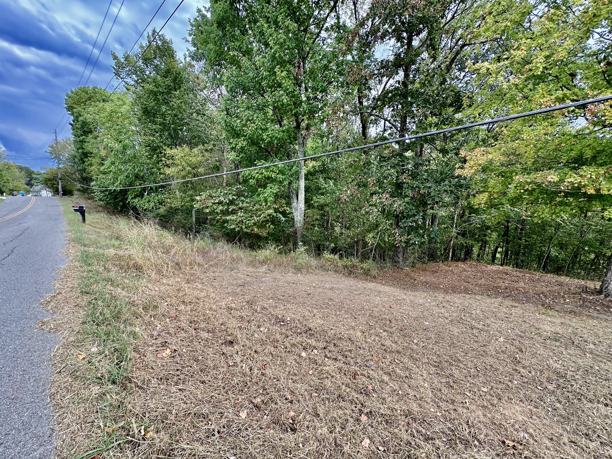 1330 Shell Road Goodlettsville, TN 37072 - Photo 5 of 8 a view of a yard with a plant
