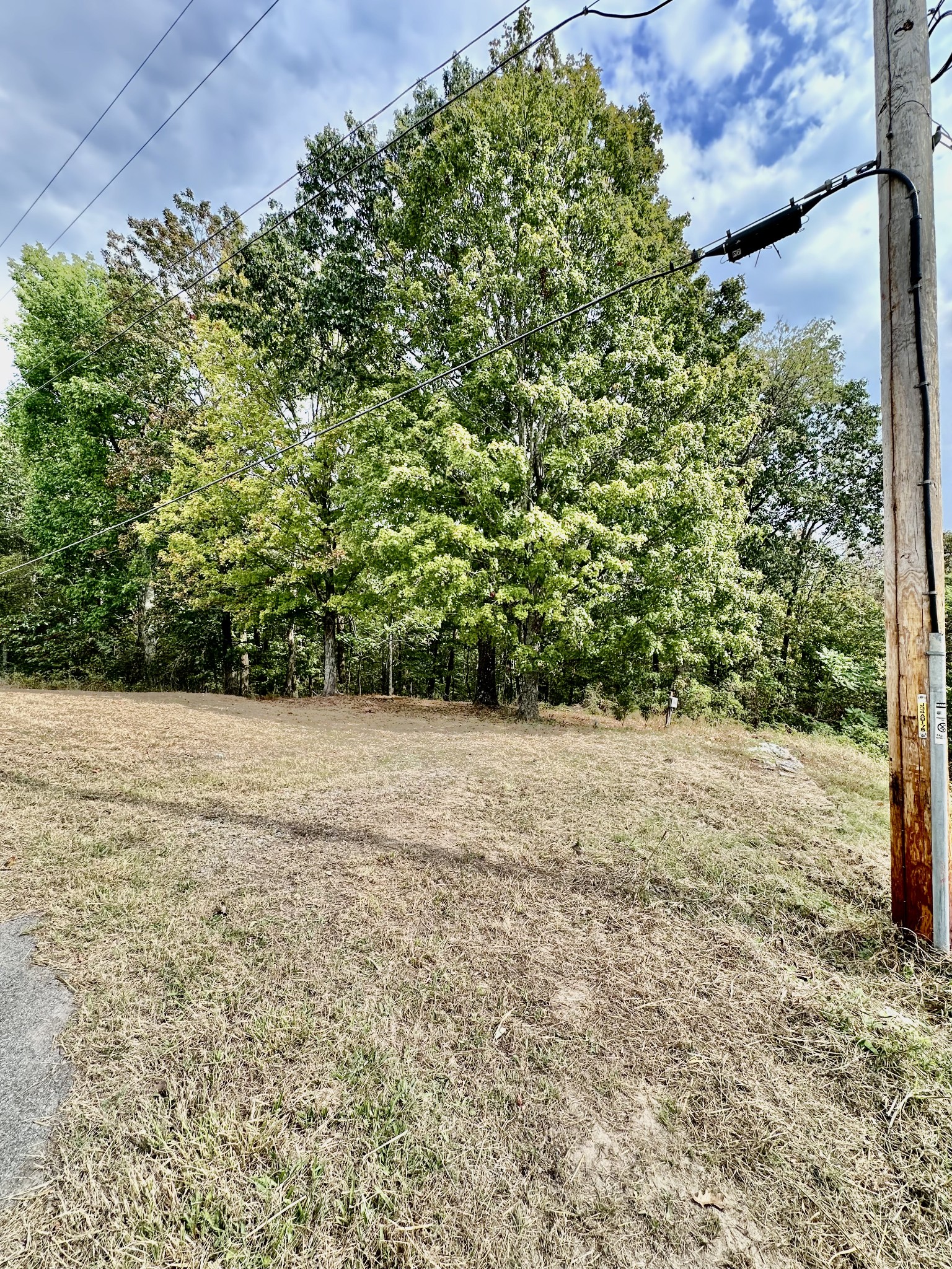 1330 Shell Road Goodlettsville, TN 37072 - Photo 6 of 8 a view of outdoor space and yard