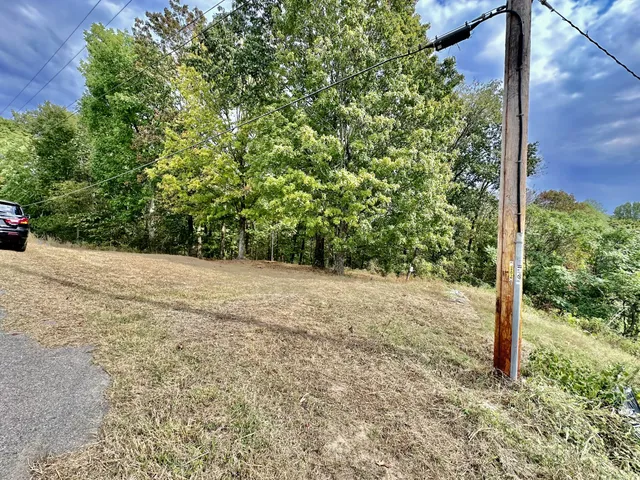 a view of a yard with plants and a small yard