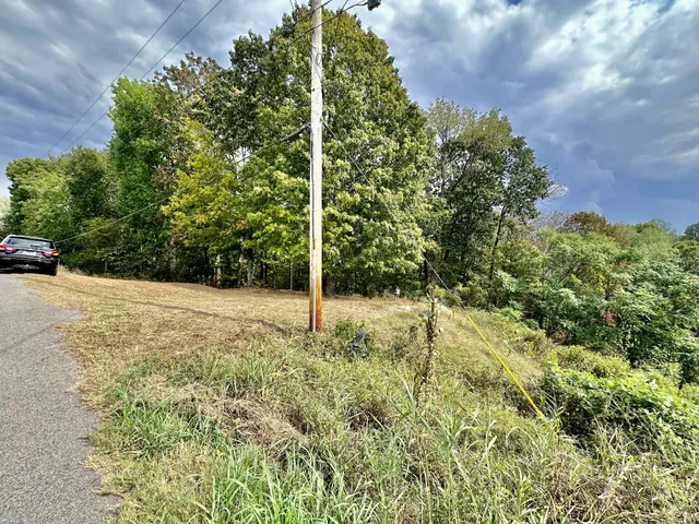 a view of backyard with green space