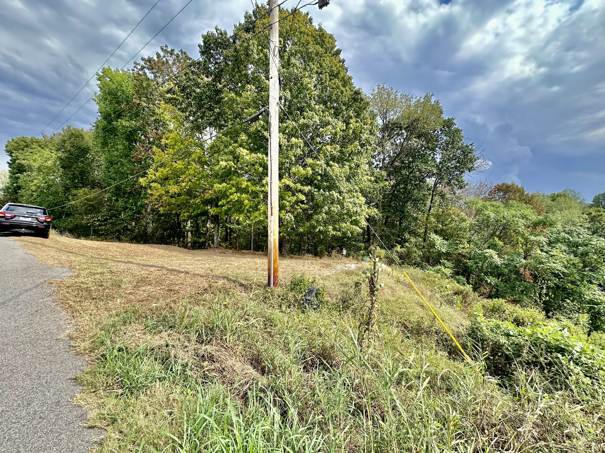 1330 Shell Road Goodlettsville, TN 37072 - Photo 8 of 8 a view of backyard with green space