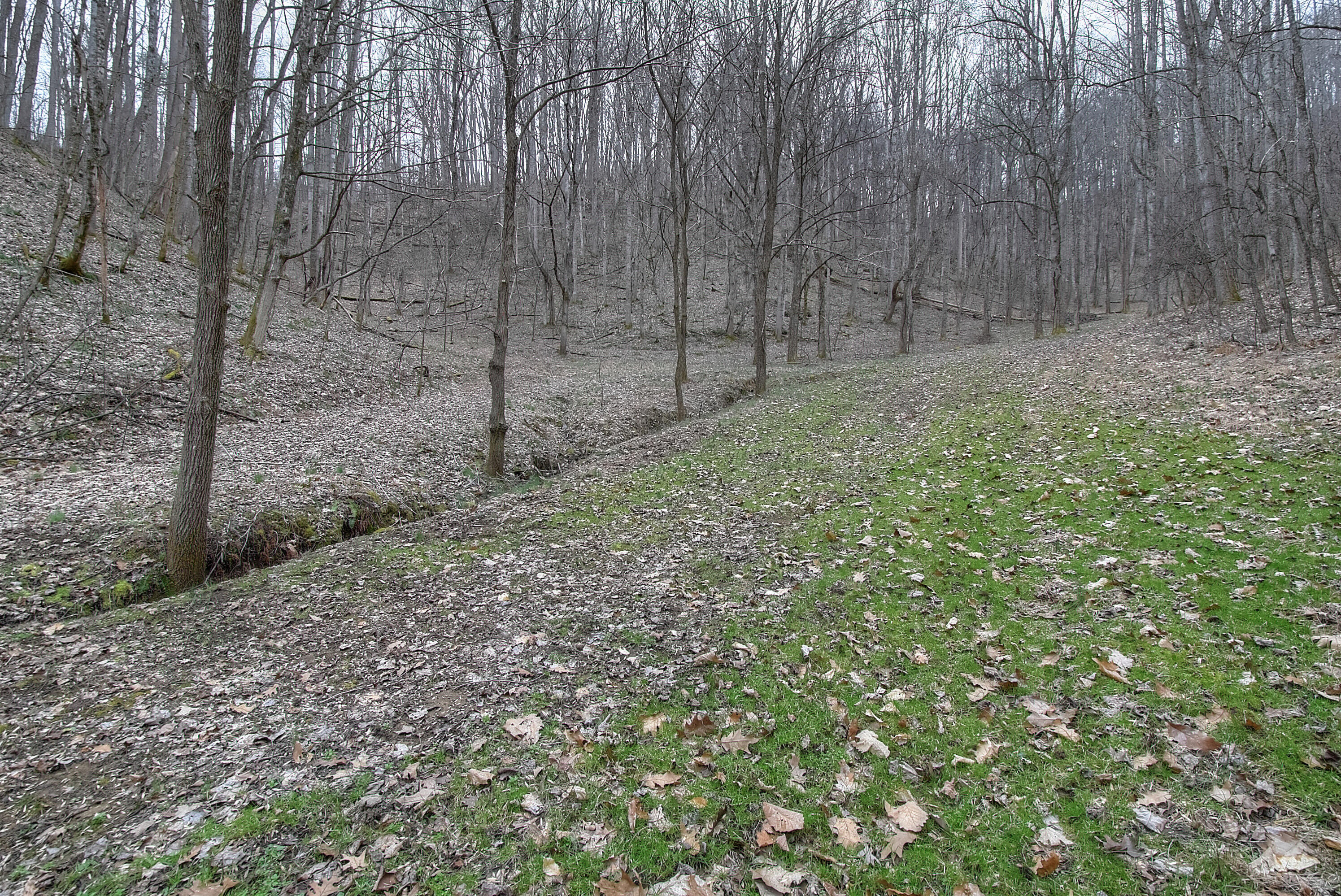 480 Coffee Ridge Road Erwin, TN 37650 - Photo 11 of 44 DSC_0754_5_6_7_8_9