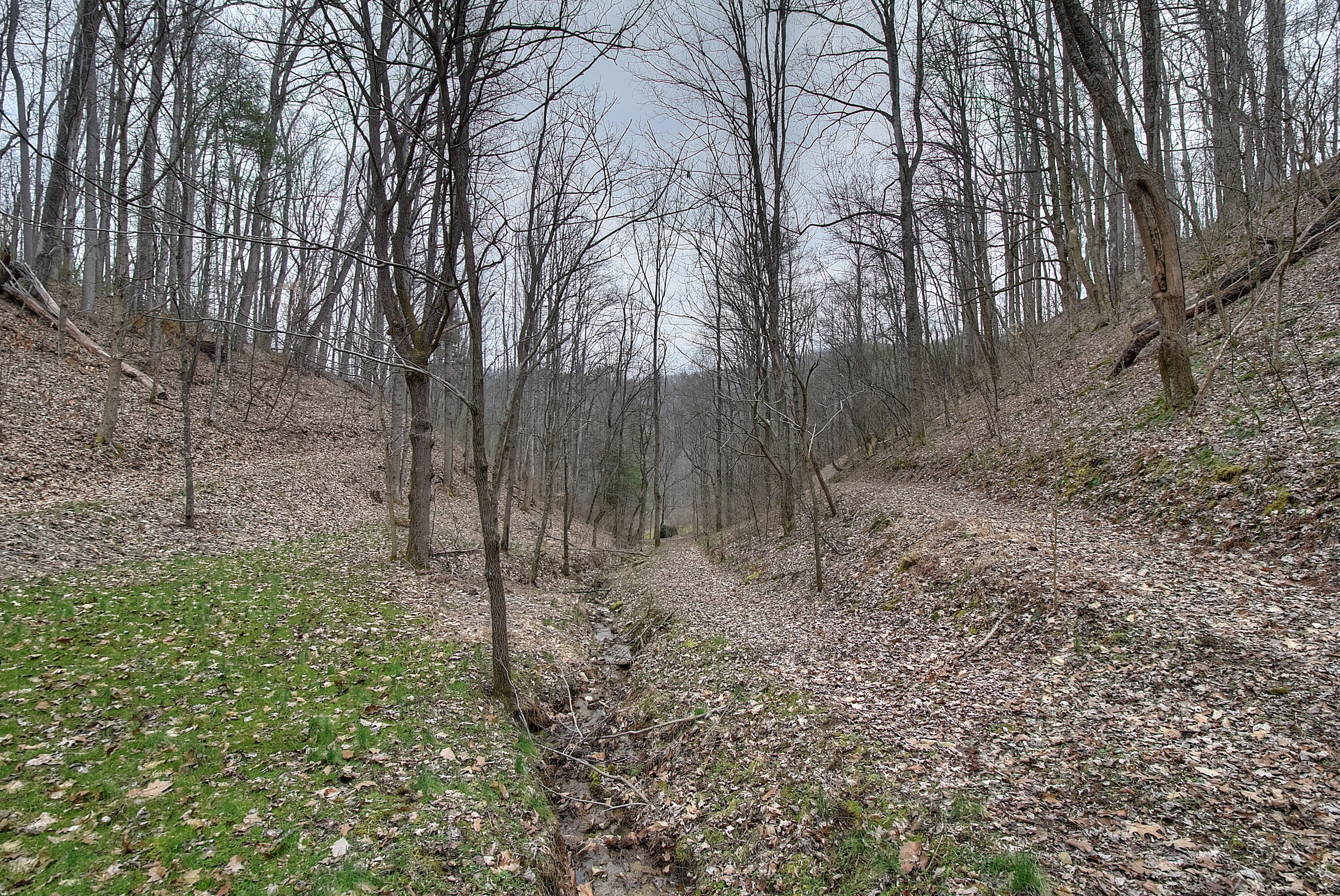 480 Coffee Ridge Road Erwin, TN 37650 - Photo 12 of 44 DSC_0772_3_4_5_6_7