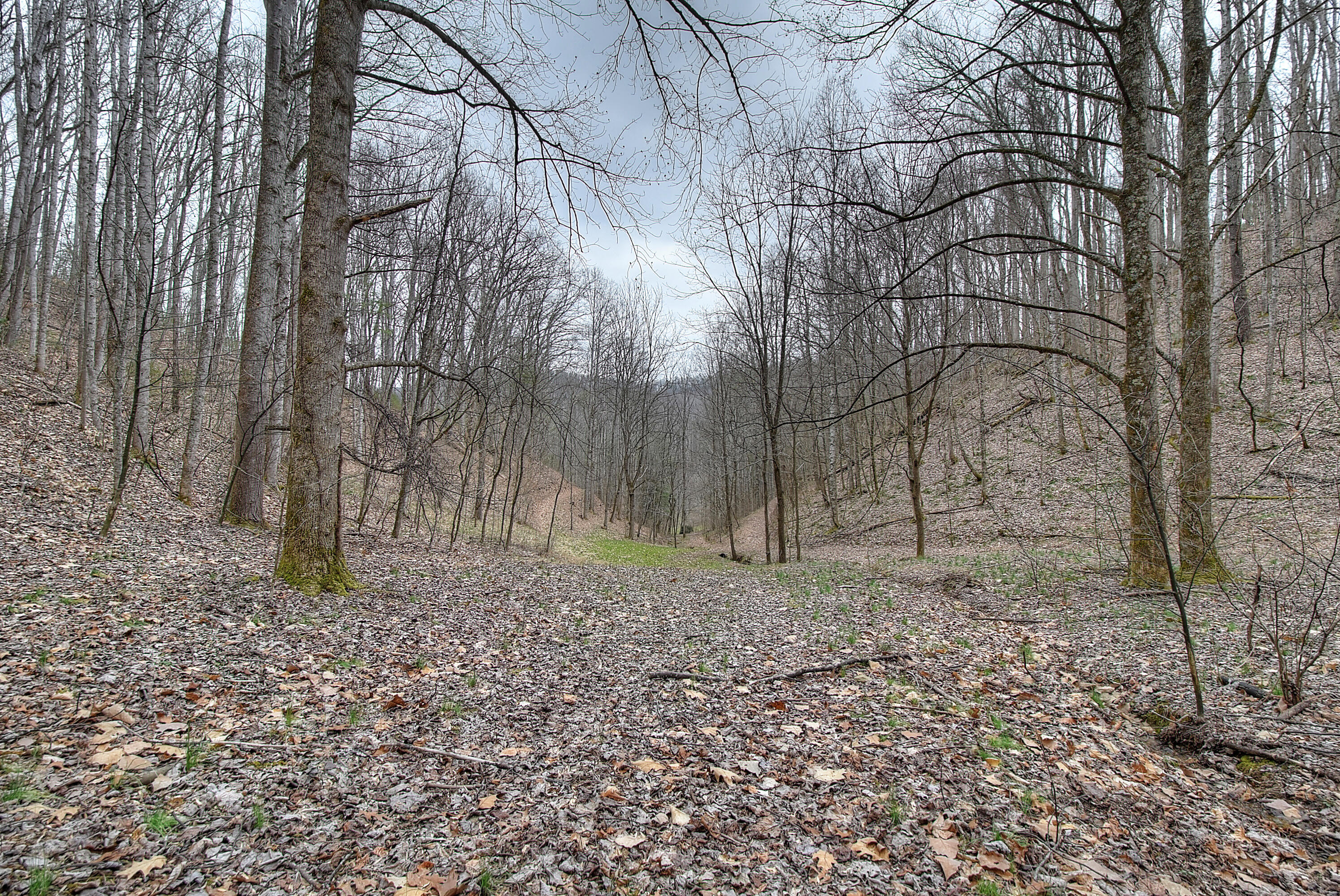 480 Coffee Ridge Road Erwin, TN 37650 - Photo 13 of 44 DSC_0784_5_6_7_8_9