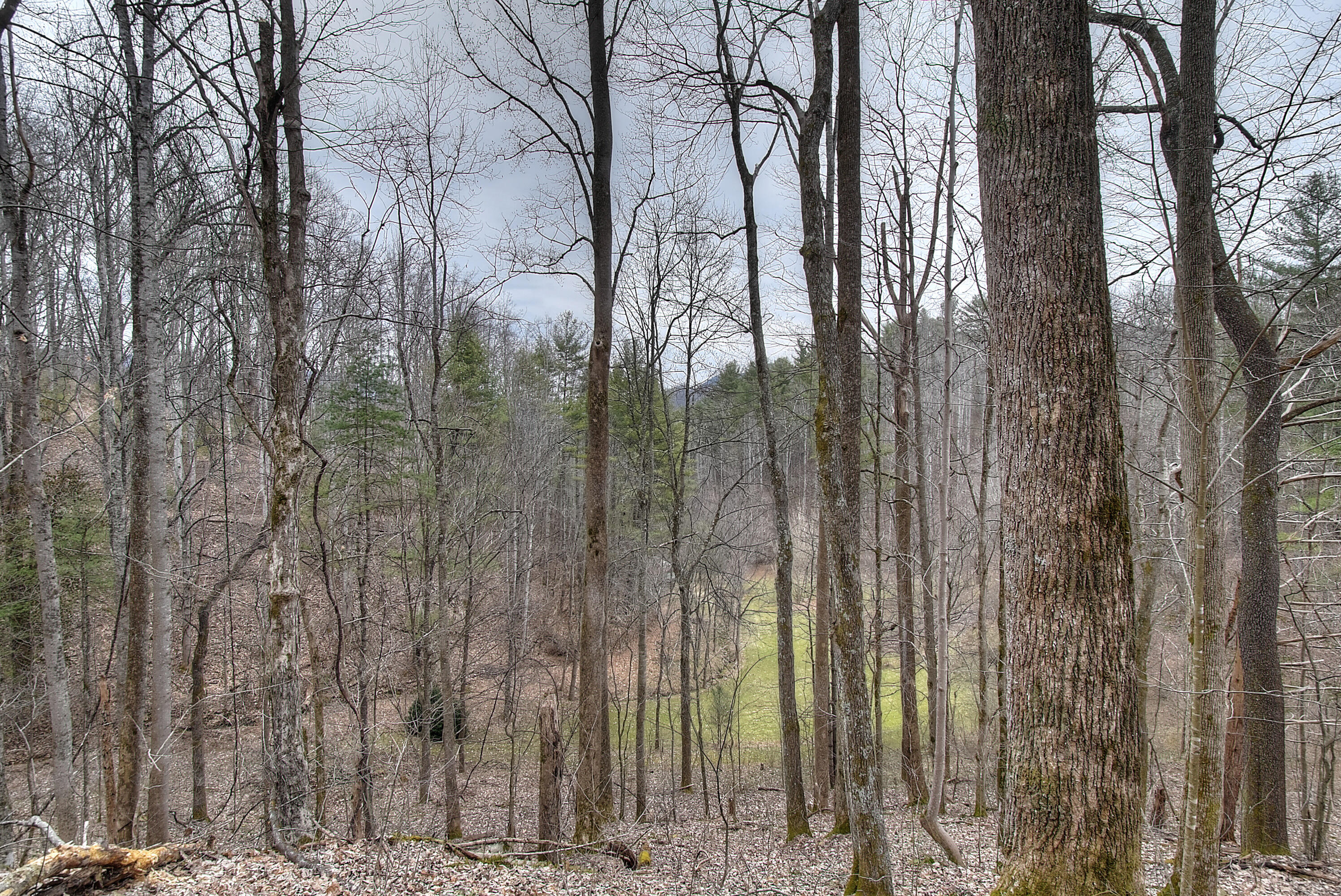 480 Coffee Ridge Road Erwin, TN 37650 - Photo 14 of 44 DSC_0796_797_798_799_800_801