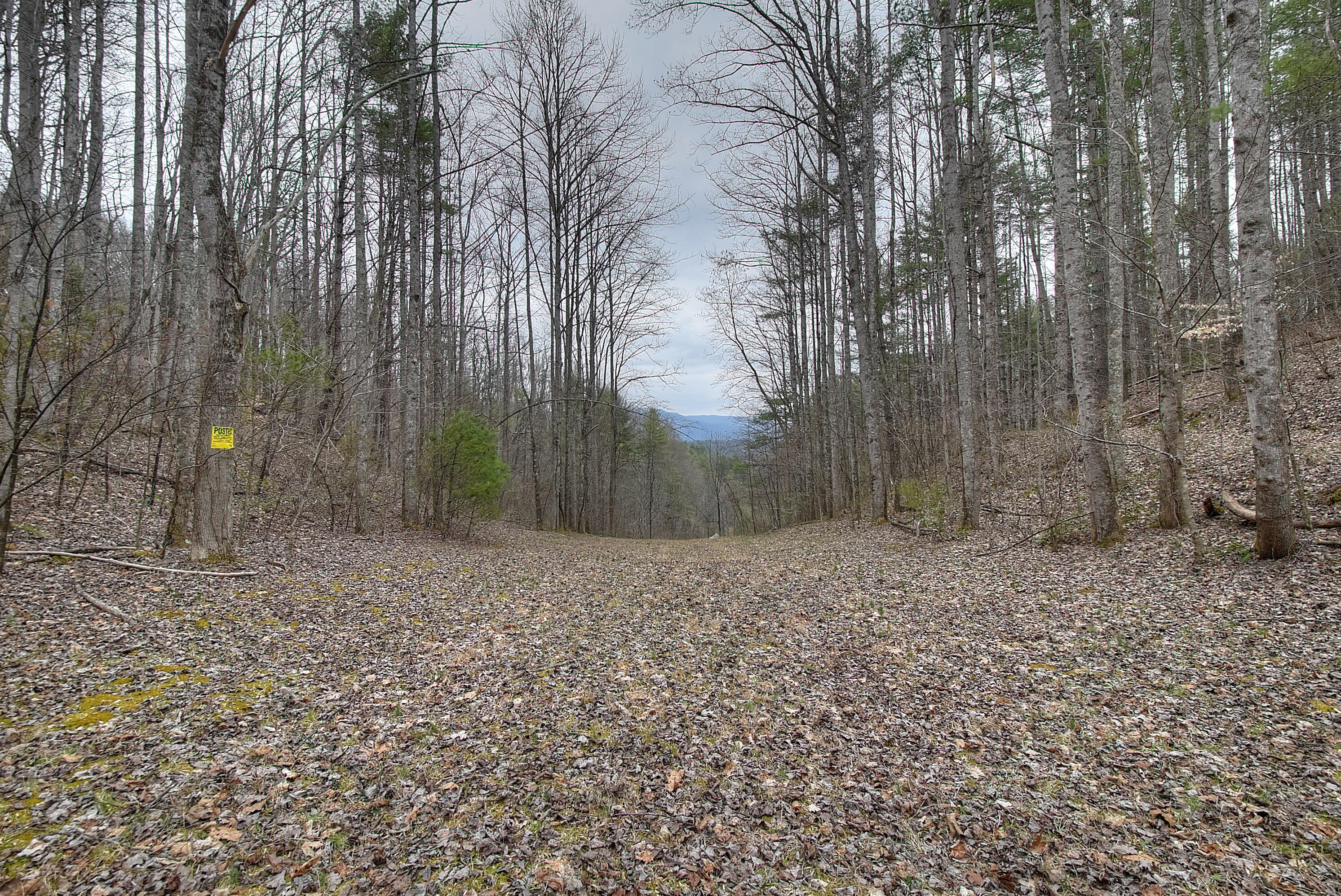 480 Coffee Ridge Road Erwin, TN 37650 - Photo 16 of 44 DSC_0820_1_2_3_4_5