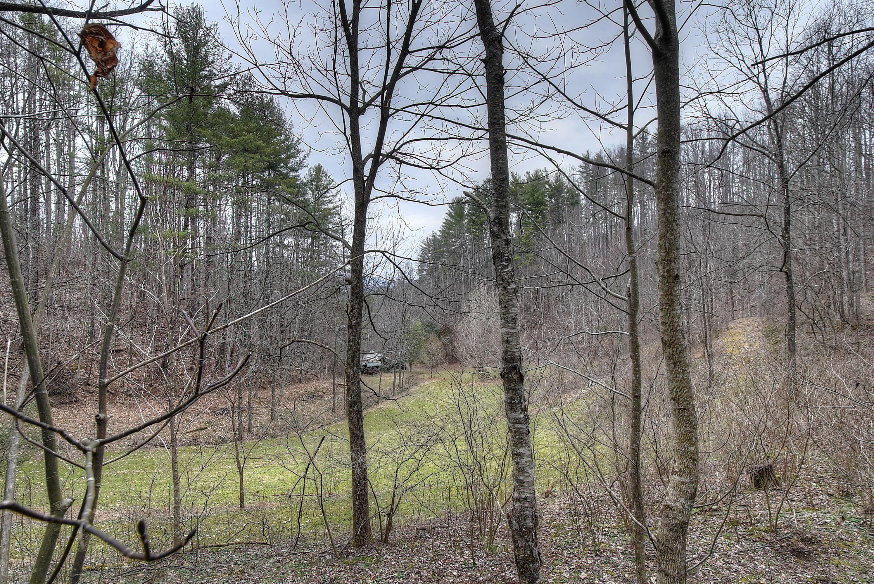 480 Coffee Ridge Road Erwin, TN 37650 - Photo 19 of 44 DSC_0850_1_2_3_4_5