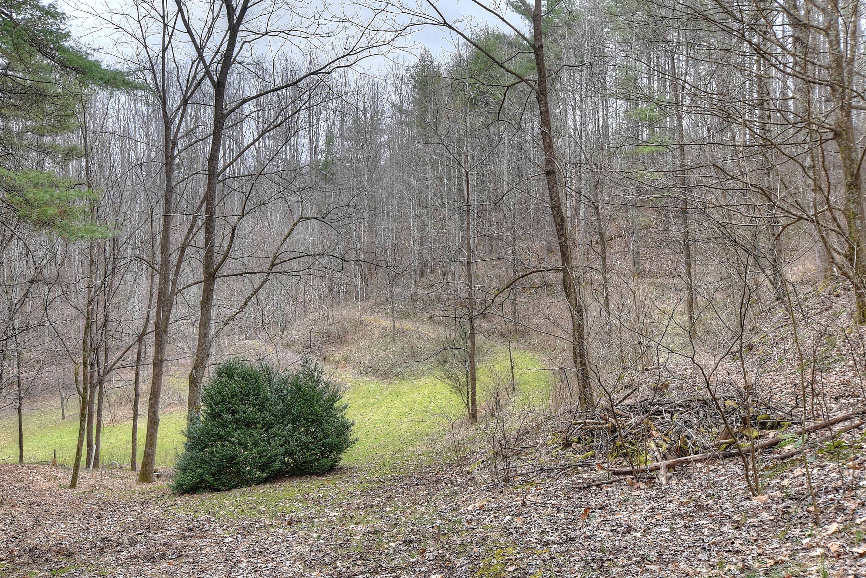 480 Coffee Ridge Road Erwin, TN 37650 - Photo 20 of 44 DSC_0868_69_70_71_72_73