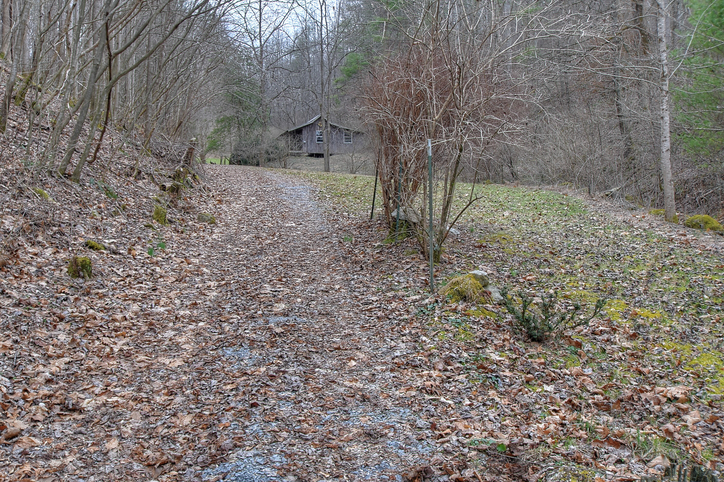 480 Coffee Ridge Road Erwin, TN 37650 - Photo 2 of 44 DSC_0646_47_48_49_50_51