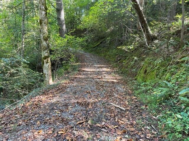 480 Coffee Ridge Road Erwin, TN 37650 - Photo 21 of 44 IMG_4161