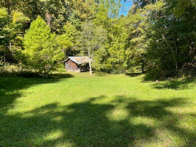480 Coffee Ridge Road Erwin, TN 37650 - Photo 22 of 44 IMG_4159