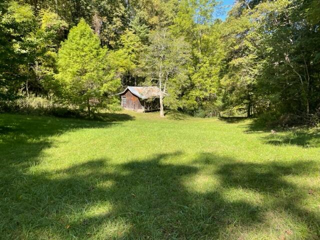480 Coffee Ridge Road Erwin, TN 37650 - Photo 23 of 44 IMG_4158