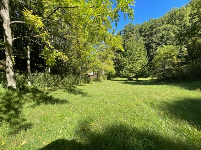 480 Coffee Ridge Road Erwin, TN 37650 - Photo 25 of 44 IMG_4156