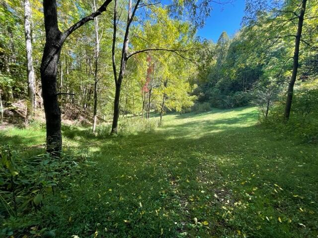 480 Coffee Ridge Road Erwin, TN 37650 - Photo 26 of 44 IMG_4154
