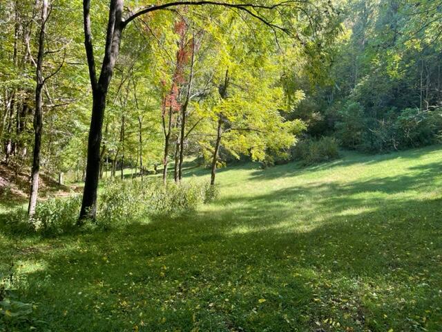 480 Coffee Ridge Road Erwin, TN 37650 - Photo 27 of 44 IMG_4155