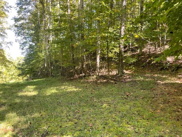 480 Coffee Ridge Road Erwin, TN 37650 - Photo 28 of 44 IMG_4153