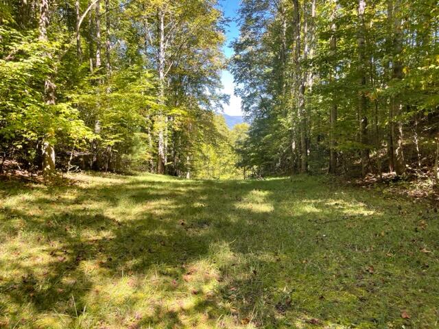 480 Coffee Ridge Road Erwin, TN 37650 - Photo 29 of 44 IMG_4152