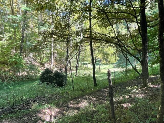 480 Coffee Ridge Road Erwin, TN 37650 - Photo 30 of 44 IMG_4151 (1)