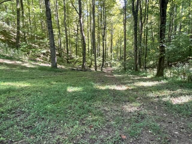 480 Coffee Ridge Road Erwin, TN 37650 - Photo 31 of 44 IMG_4150