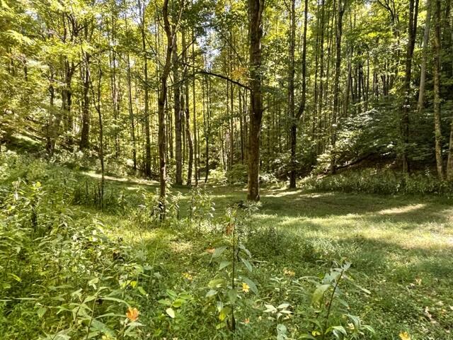 480 Coffee Ridge Road Erwin, TN 37650 - Photo 32 of 44 IMG_4149