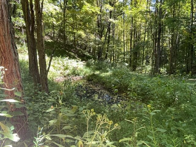 480 Coffee Ridge Road Erwin, TN 37650 - Photo 33 of 44 IMG_4148