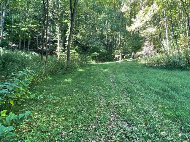 480 Coffee Ridge Road Erwin, TN 37650 - Photo 34 of 44 IMG_4146