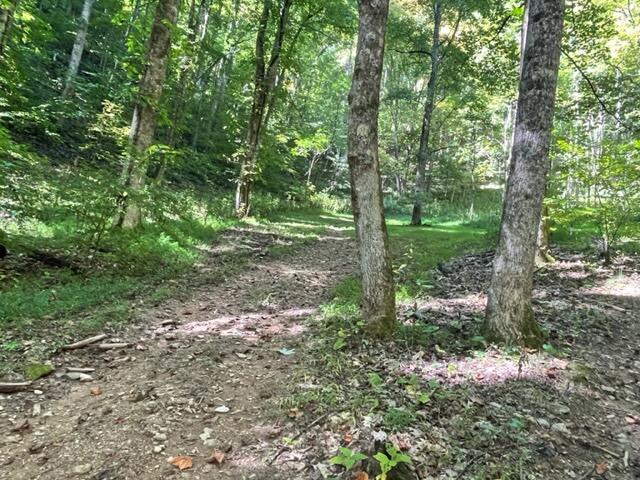 480 Coffee Ridge Road Erwin, TN 37650 - Photo 35 of 44 IMG_4147