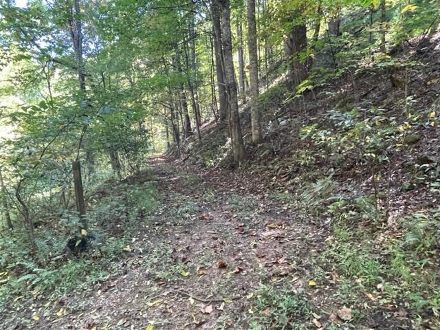480 Coffee Ridge Road Erwin, TN 37650 - Photo 37 of 44 IMG_4144