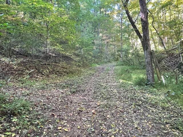 480 Coffee Ridge Road Erwin, TN 37650 - Photo 38 of 44 IMG_4143