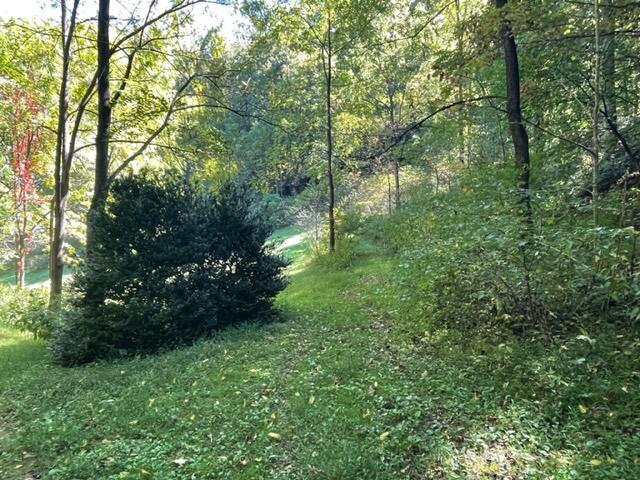 480 Coffee Ridge Road Erwin, TN 37650 - Photo 39 of 44 IMG_4142