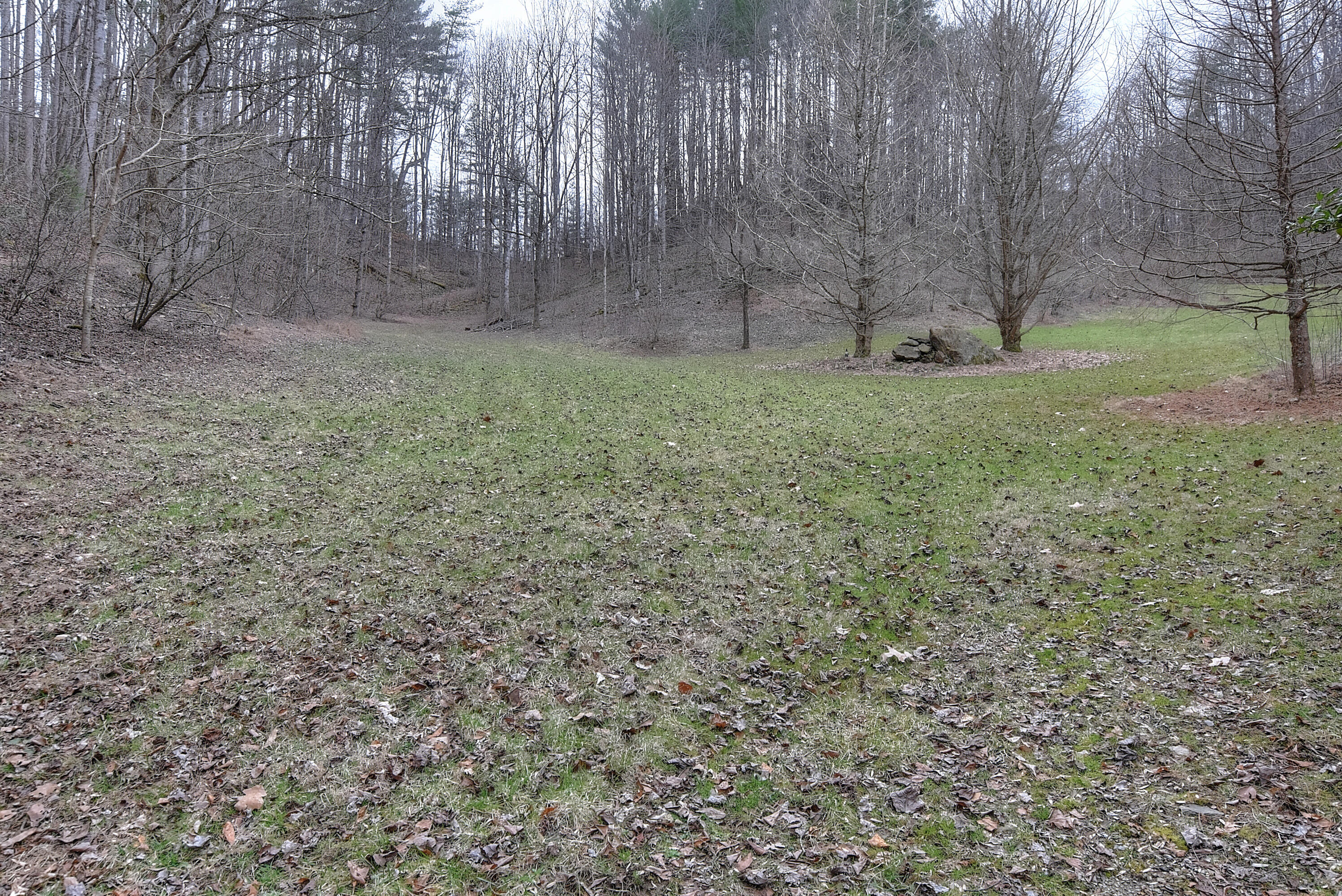 480 Coffee Ridge Road Erwin, TN 37650 - Photo 4 of 44 DSC_0670_1_2_3_4_5