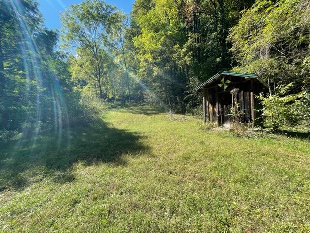 480 Coffee Ridge Road Erwin, TN 37650 - Photo 41 of 44 IMG_4140
