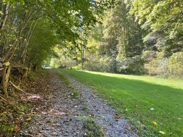480 Coffee Ridge Road Erwin, TN 37650 - Photo 44 of 44 IMG_4137