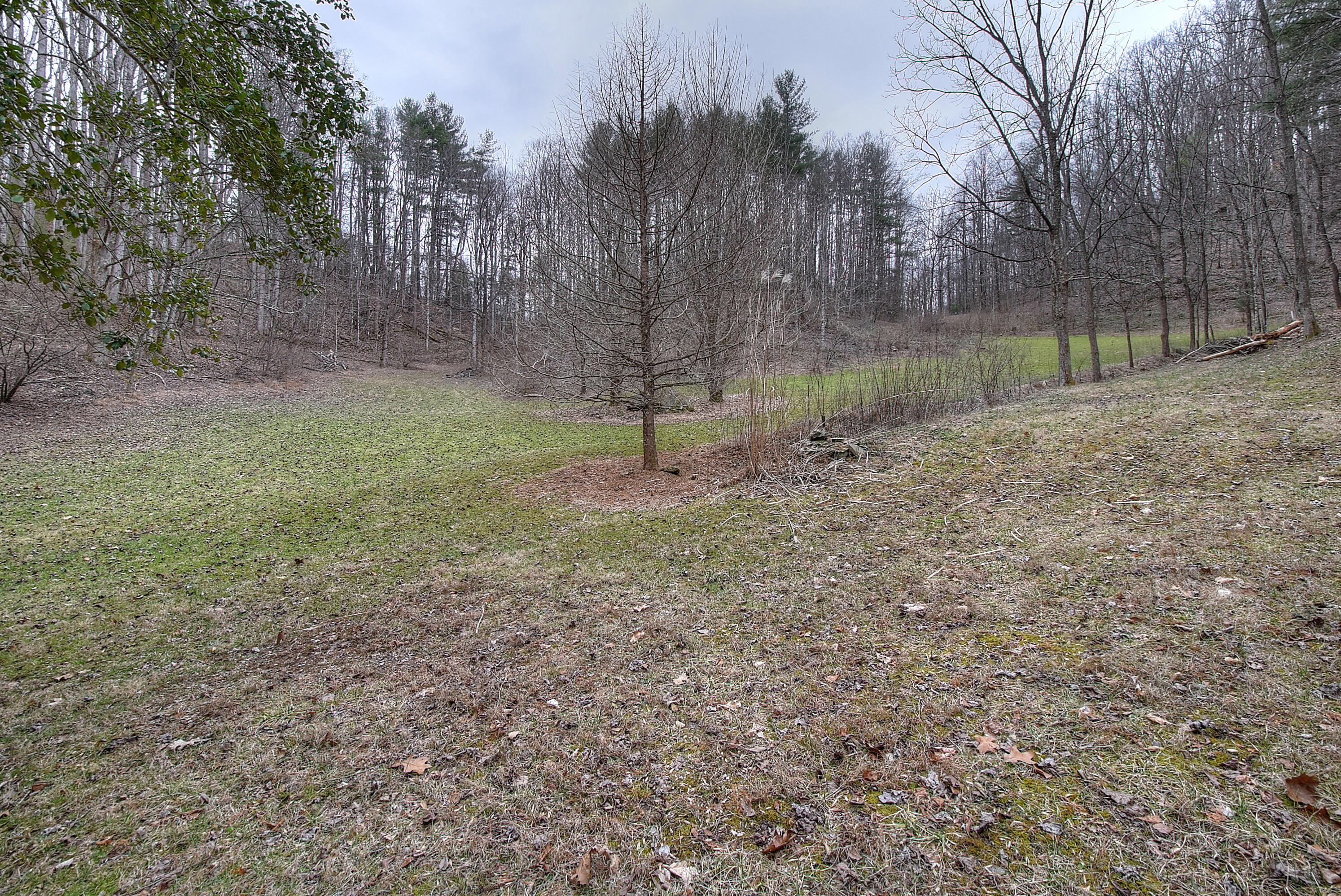 480 Coffee Ridge Road Erwin, TN 37650 - Photo 7 of 44 DSC_0706_07_08_09_10_11