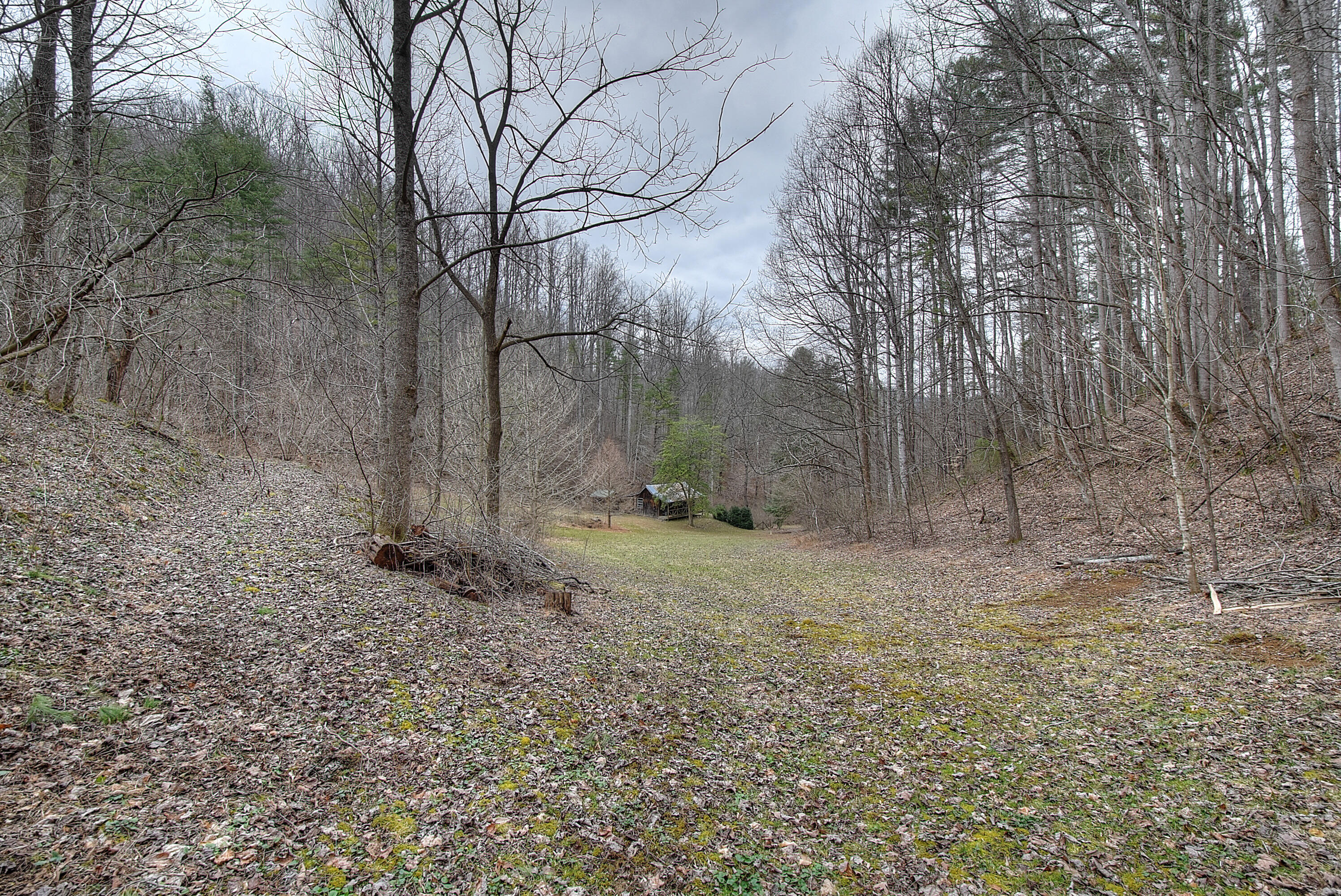 480 Coffee Ridge Road Erwin, TN 37650 - Photo 8 of 44 DSC_0724_5_6_7_8_9