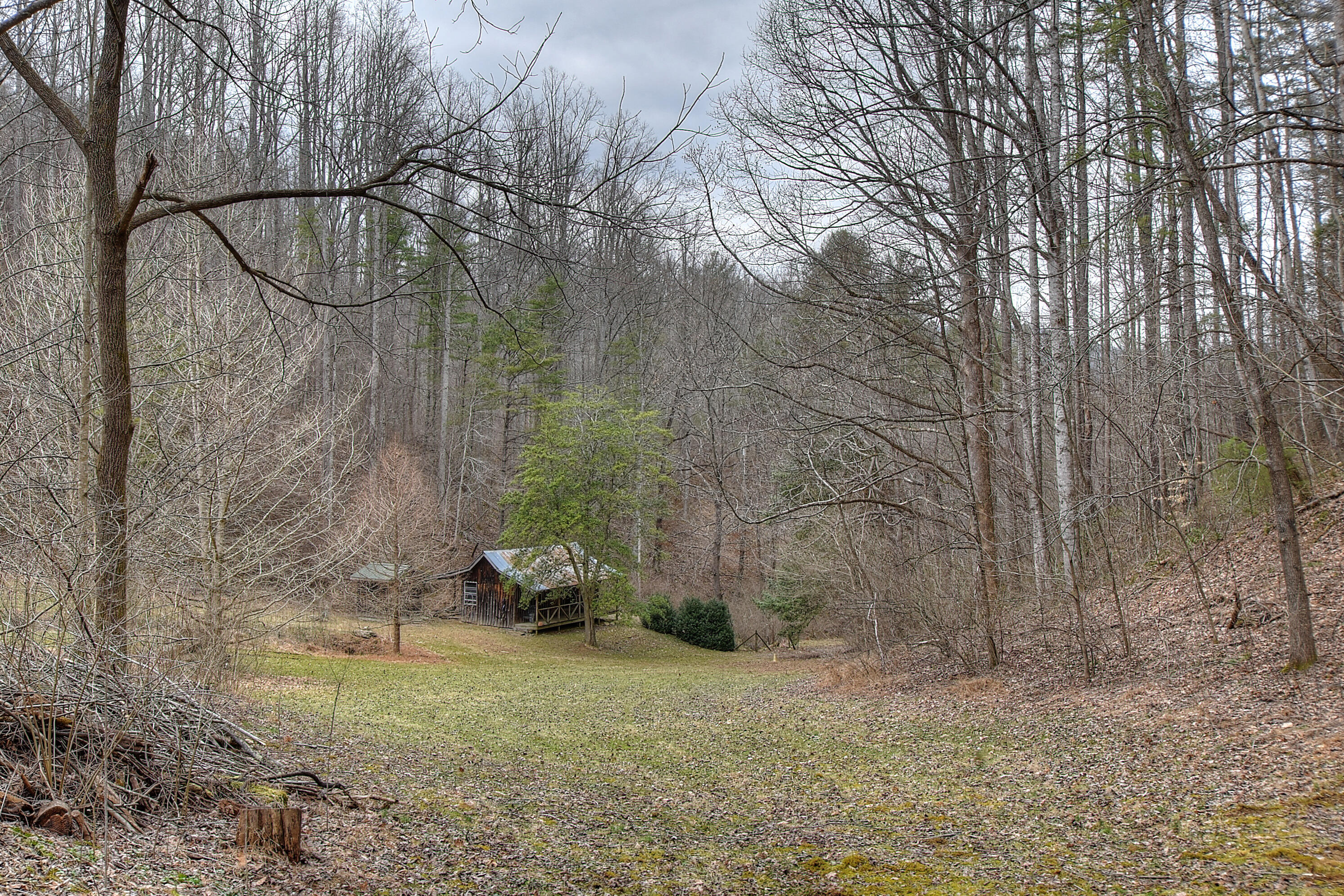 480 Coffee Ridge Road Erwin, TN 37650 - Photo 9 of 44 DSC_0730_1_2_3_4_5