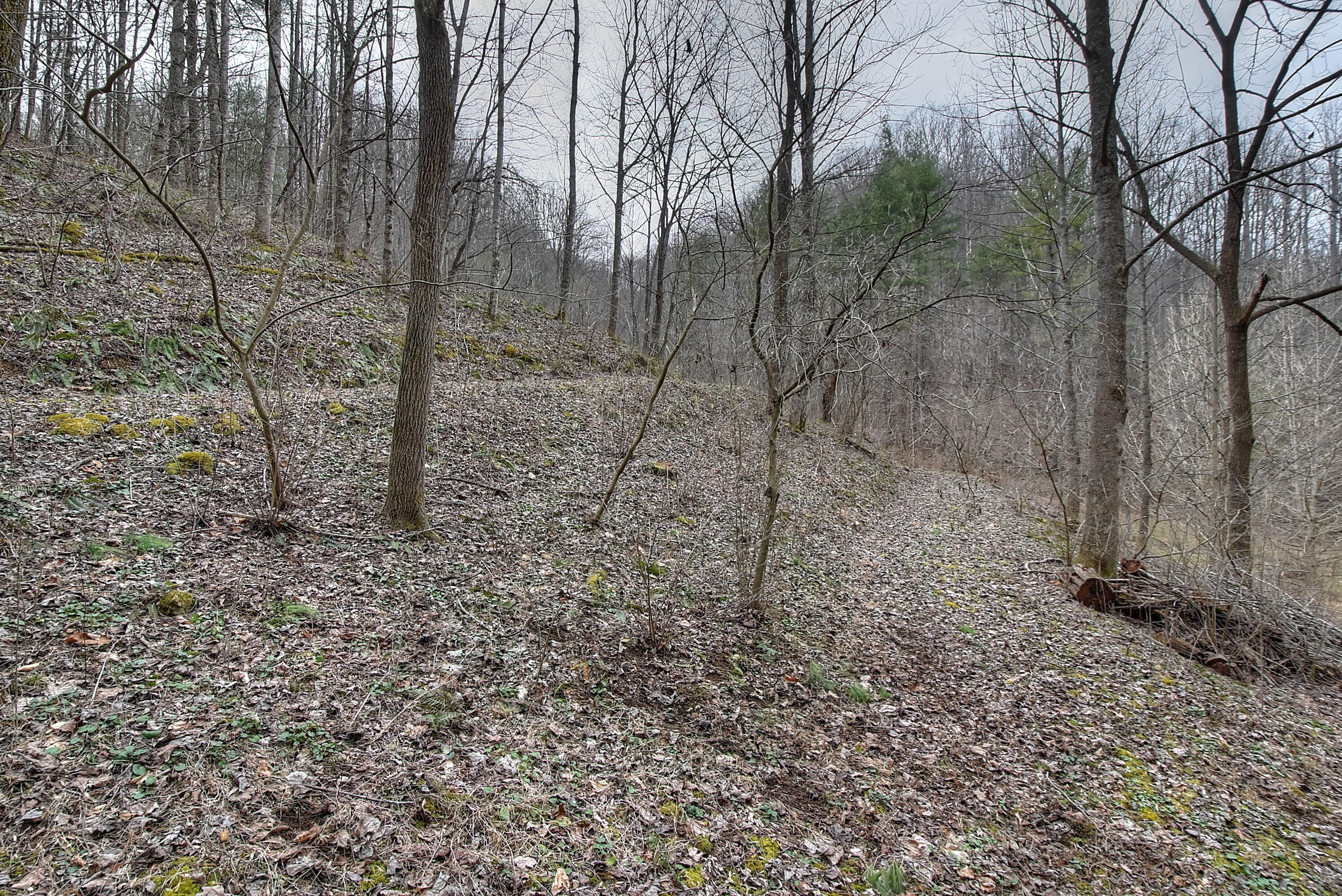 480 Coffee Ridge Road Erwin, TN 37650 - Photo 10 of 44 DSC_0748_49_50_51_52_53