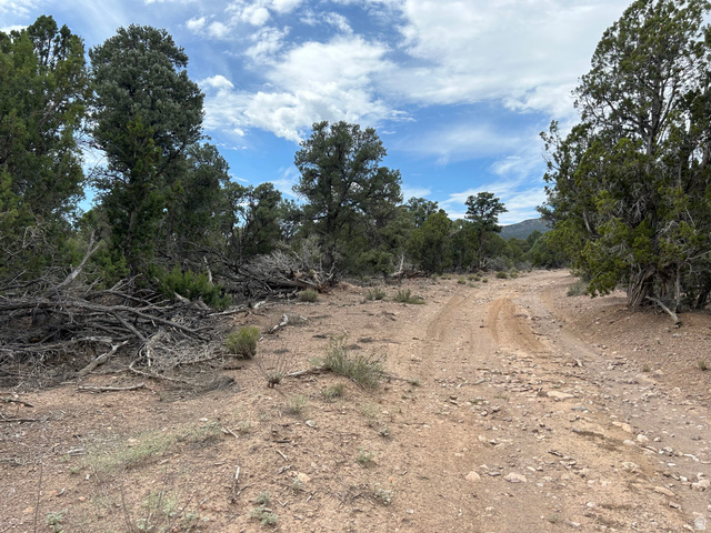 St, Unit 1 & 2 Modena, UT 84753 - Photo 63 of 69 Natural landscape with mature trees and a dirt track