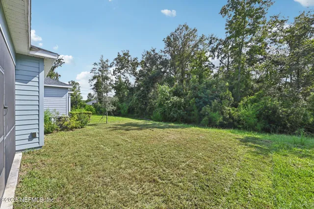 a view of a yard with a tree