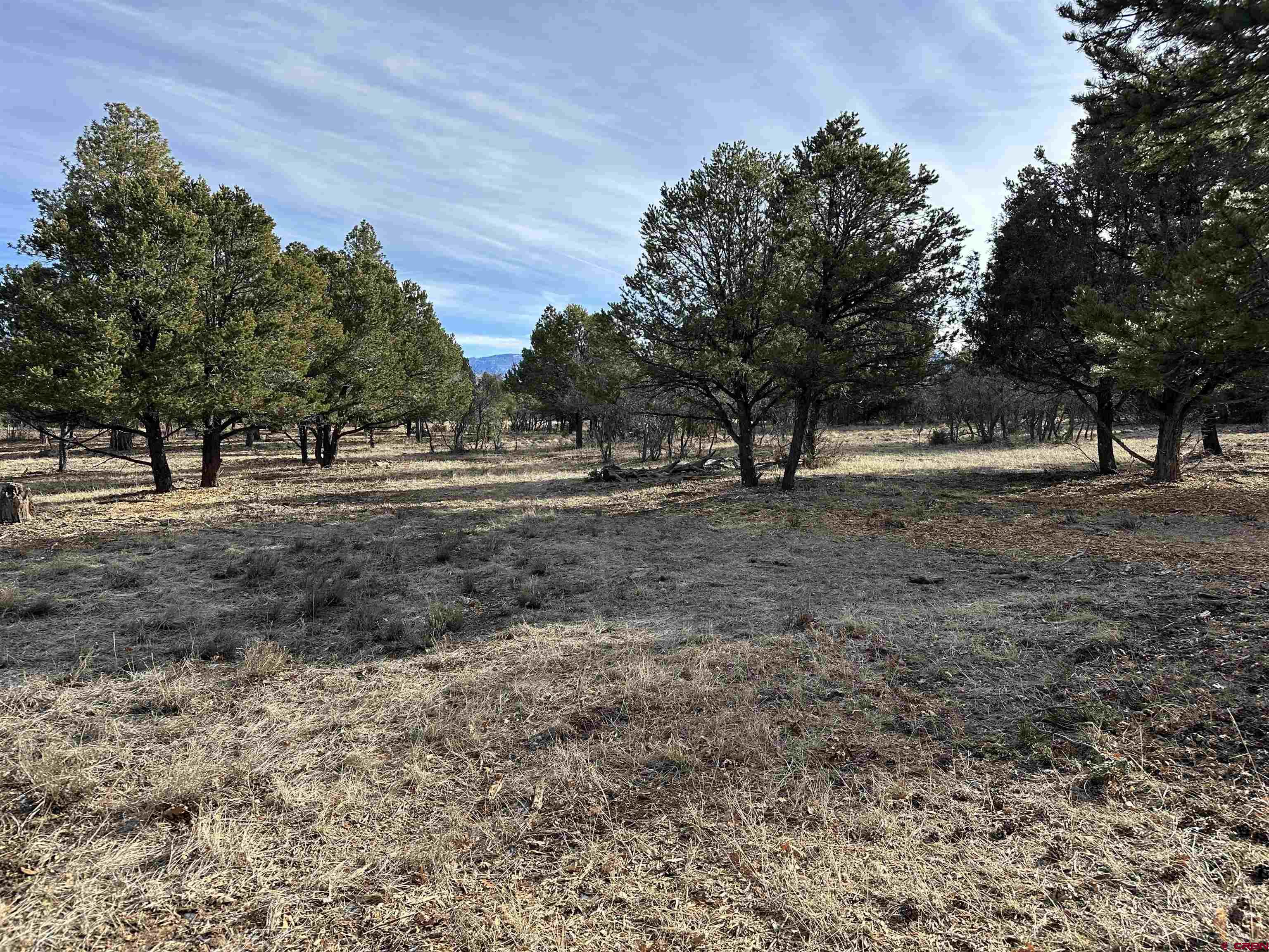120 Puma Lane Ridgway, CO 81432 - Photo 6 of 9